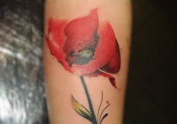Invictus-Tattoo-Budapest-Berlin-Berta-Mihaly-Peter-Kacsa-tetovalo-tattooist-artist-realistic-realistisch-blume-mohnblume-flower