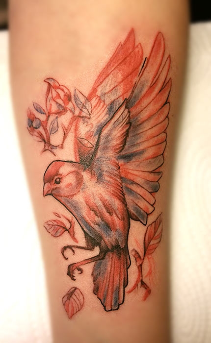 Invictus-Tattoo-Budapest-Berlin-Csaba-Koszegi-tattooist-tetovalo-artist-bird-madar-vogel