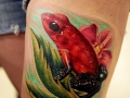 nvictus-Tattoo-Budapest-Berlin-Szilvasi-Gyula-tetovalo-tattooist-artist-Natur-flora-fauna-realistic-realistisch-frosch-farbe-bunt-frog