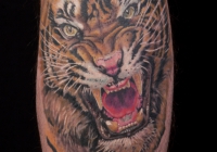nvictus-Tattoo-Budapest-Berlin-Szilvasi-Gyula-tetovalo-tattooist-artist-Natur-flora-fauna-realistic-realistisch-tiger-tigris