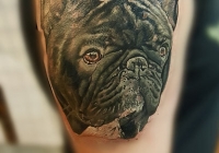 nvictus-Tattoo-Budapest-Berlin-Szilvasi-Gyula-tetovalo-tattooist-artist-Natur-flora-fauna-realistic-realistisch-hund-portrait-farbe